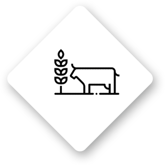 product3